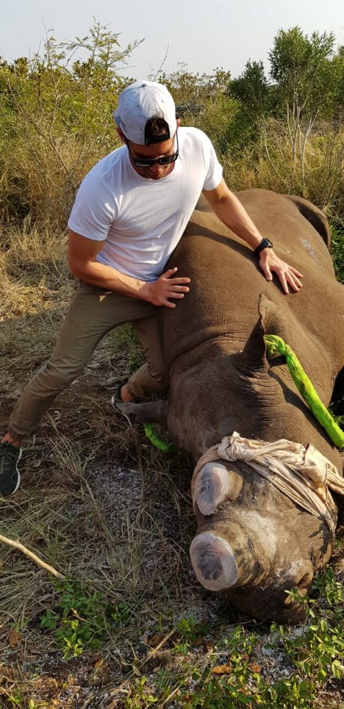 An image of a rhino that has been dehorned, which is not easy to look at